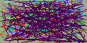 person lookup